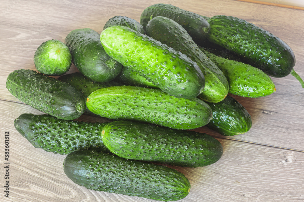 Heap of fresh cucumbers from the Farmers Market. Heap of fresh cucumbers from the Farmers Market.