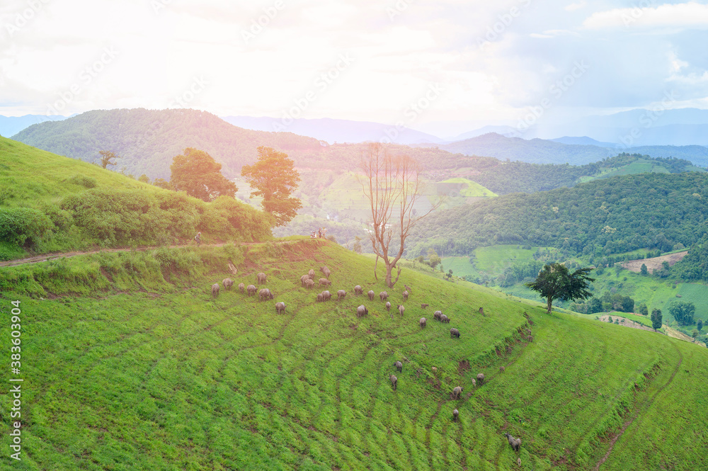 Beautiful green mountain view in rain season, Tropical climate .