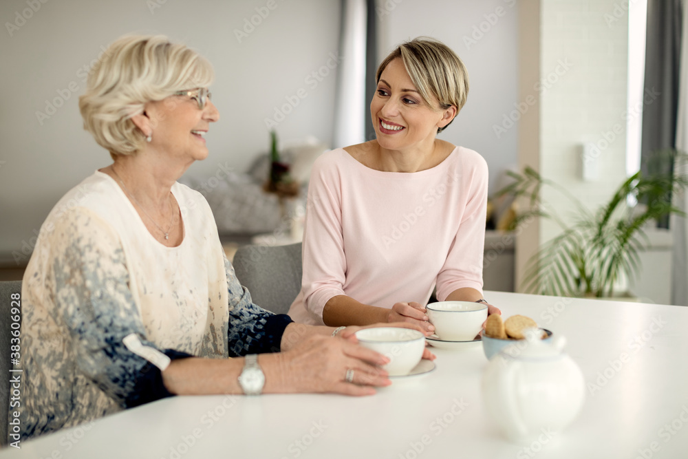 Happy woman having a cup of coffee with her mature mother at home.