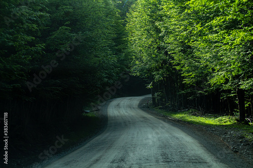 estrada de terra sinuosa Coberta pela floresta com raios de sol ultrapassando as arvores 