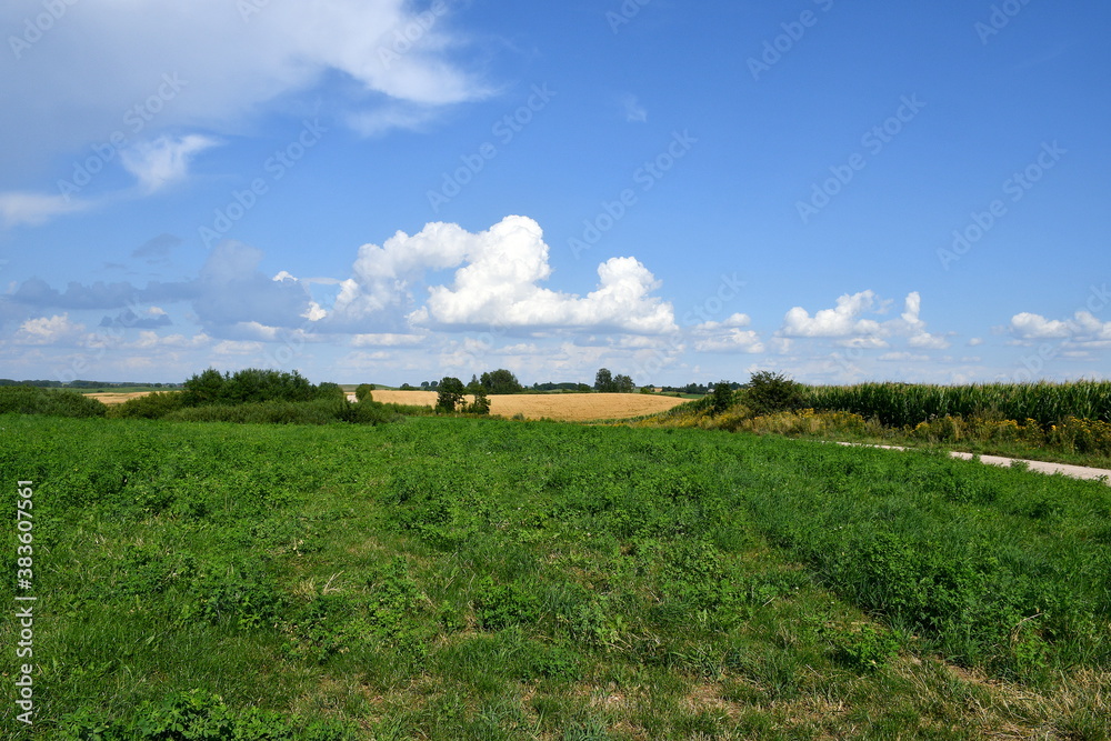 Obraz premium A view of a dense field, meadow or pastureland surrounded with trees, shrubs, and hills from all sides seen on a sunny yet cloudy summer day on a Polish countryside during a hike 