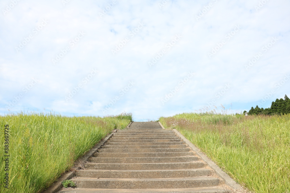 晴れた空へと続く階段 stairs to the sunny sky 1