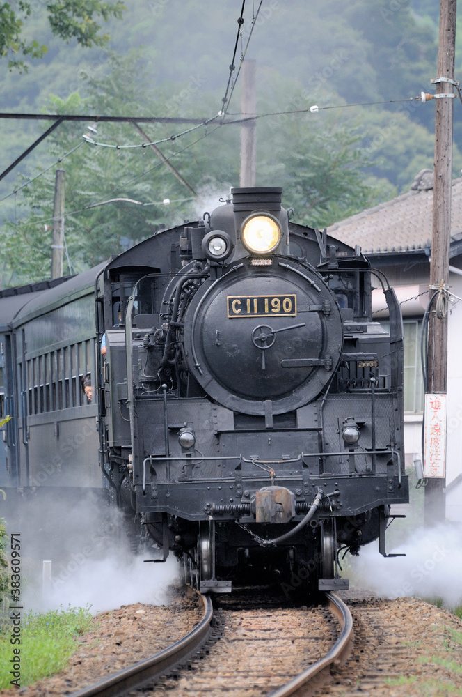 Naklejka premium 蒸気機関車