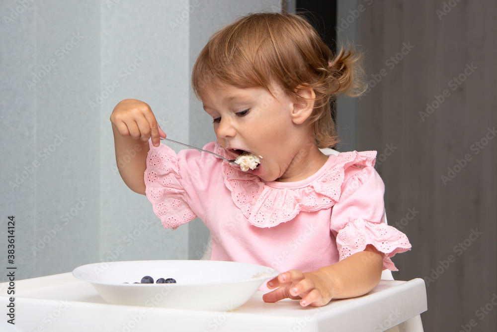 Little kid girl eating her morning porridge oatmeal with blueberries herself, sitting in baby chair in kitchen Little kid girl eating her morning porridge oatmeal with blueberries herself, sitting in baby chair in kitchen