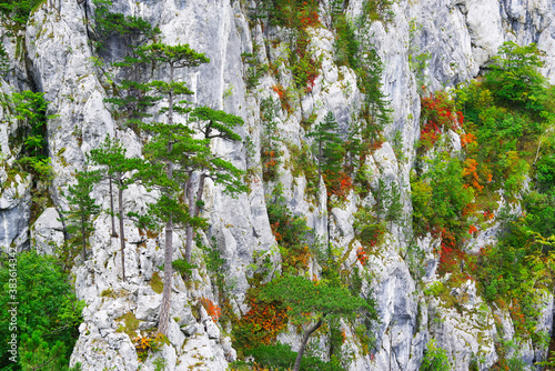 Tasnei Gorges landscape in the protected area of Herculane, Romania photo