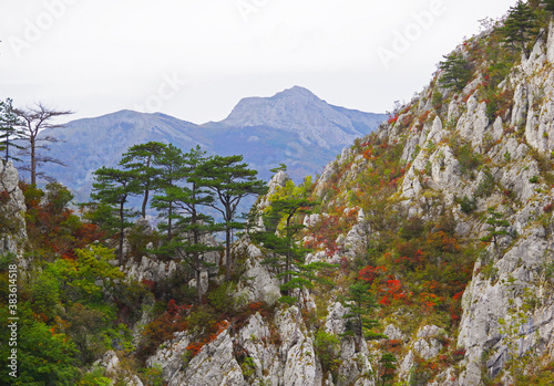 Tasnei Gorges landscape in the protected area of Herculane, Romania photo