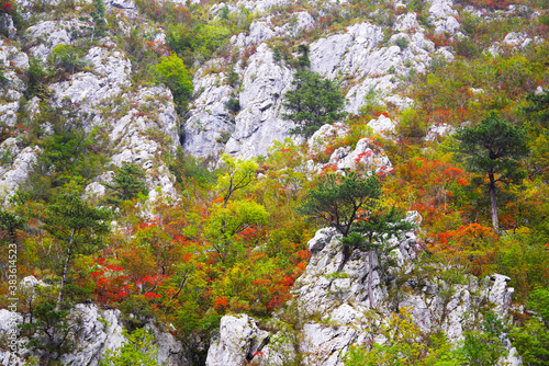 Tesnei Gorges landscape in the protected area of Herculane, Romania photo