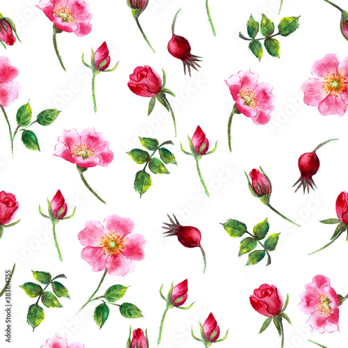 Hand drawn watercolor wild rose seamless pattern