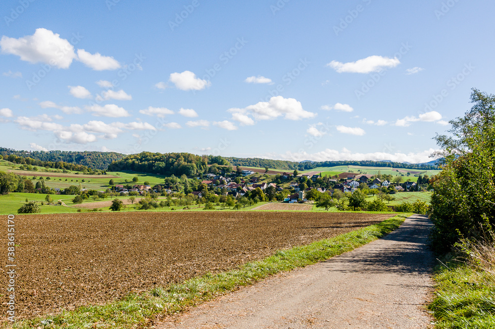 Obraz premium Lampenberg, Landwirtschaft, Bubendorf, Hölstein, Felder, Obstbäume, Kirschbäume, Wildenstein, Eichenwald, Wanderweg, Baselland, Herbst, Schweiz