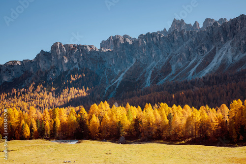 Magical yellow larches glowing in the sunlight. Location place Dolomite Alps, Cortina d'Ampezzo, Italy, Europe.