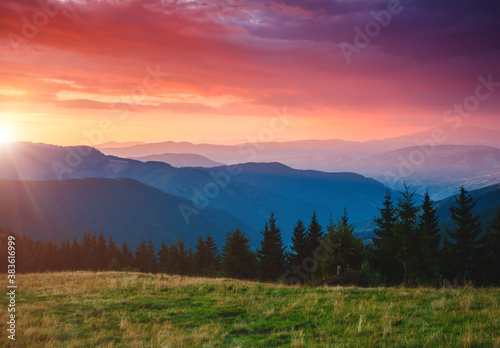Beautiful alpine highlands in morning light. Location place Carpathian mountains, Ukraine.