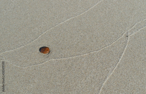 Fototapeta Naklejka Na Ścianę i Meble -  White sand coast of the Baltic Sea. Beautiful northern beach