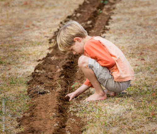 Side view of boy planting seedling in garden