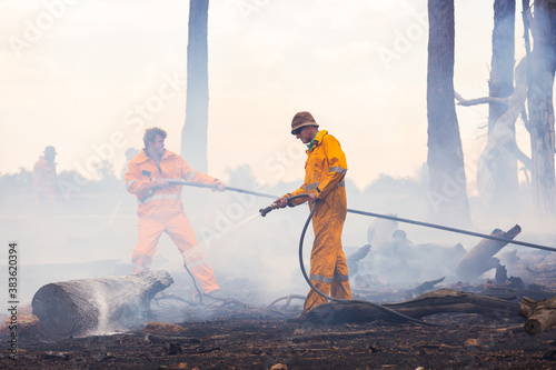 firefighters using hoses to spray water on burnt logs after fire