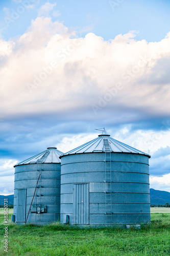 Good times on a farm with green grass and grain silos