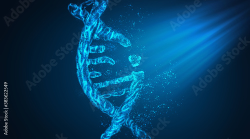 studying the digital interface of the molecule