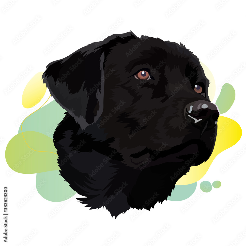 black labrador Vector Illustration. Trend Stock Vector | Adobe Stock