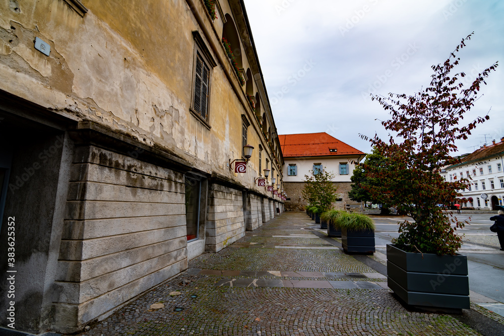 Old damaged wall of city museum in Maribor, Slovenia
