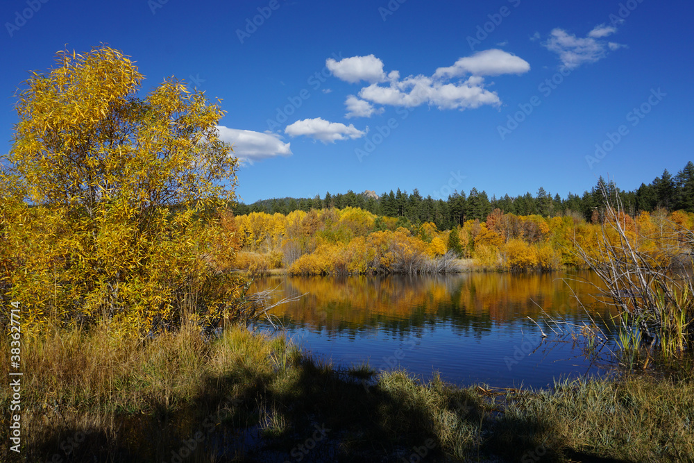 Beautiful fall colors reflected in the water on a pond on a bright sunny day Beautiful fall colors reflected in the water on a pond on a bright sunny day