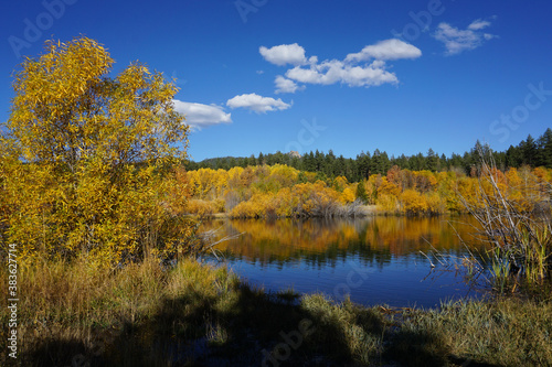 Beautiful fall colors reflected in the water on a pond on a bright sunny day © Jen