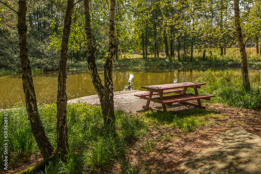 Park bench and table by a small pond