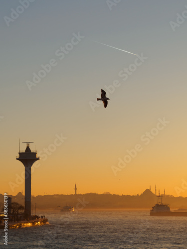 Bosphorus view at sunset, seascape with lighthouse, seagull and airplane trail