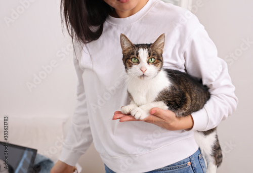 Beautifull woman cuddling her cat. Cozy lazy morning, happy moments at home photo