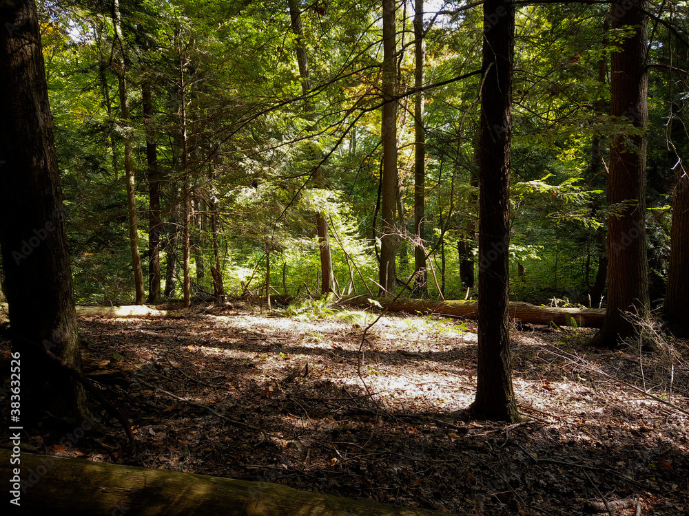 Obraz premium DCIM\106MEDIA\DJI_0209.JPG