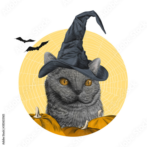 Happy Halloween Poster Print with british cat in witch hat, pumpkins, bat, spider web on background