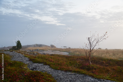 Sunrise on the White Sea in Karelia, Russia photo