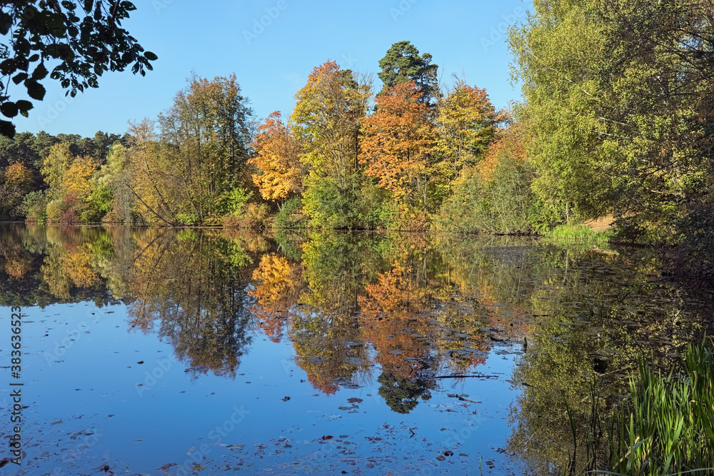 Autumn landscape with yellow, red and green trees reflecting in the calm water of a forest lake in sunny day Autumn landscape with yellow, red and green trees reflecting in the calm water of a forest lake in sunny day