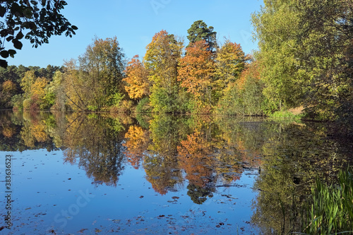 Autumn landscape with yellow  red and green trees reflecting in the calm water of a forest lake in sunny day