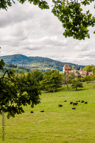 Wildenstein, Bubendorf, Schloss, Lampenberg, Wanderweg, Wasserfall, Eichenwald, Eiche Landwirtschaft, Felder, Herbst, Baselland, Schweiz photo