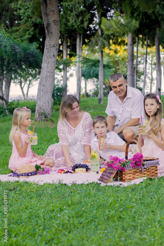 Beautiful family in the summer on a picnic in a green park.