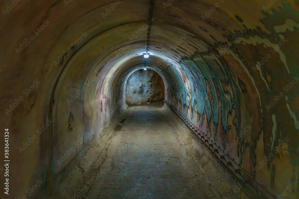 Fototapeta premium Tunnel