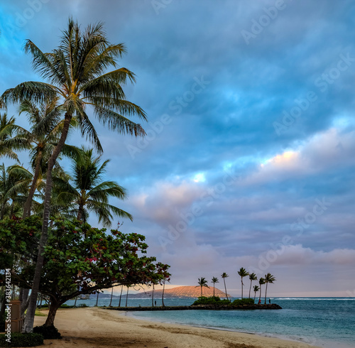 beach with palm trees © Wayne