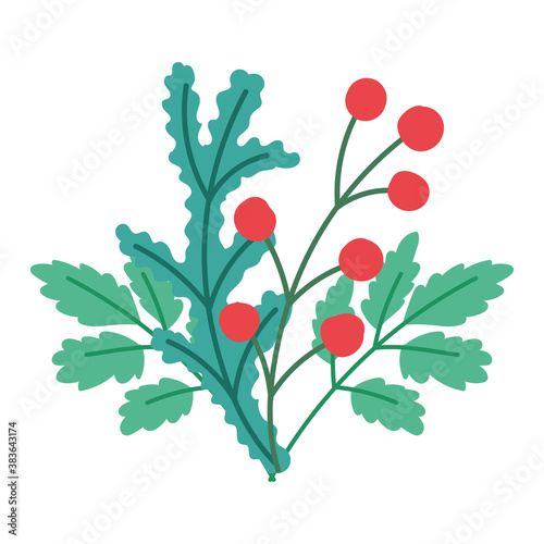 merry christmas  holly berry decoration ornament  isolated design