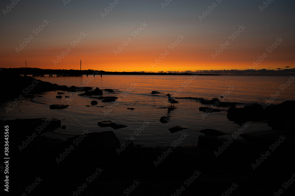 Naklejka premium Sunset at the Marina 