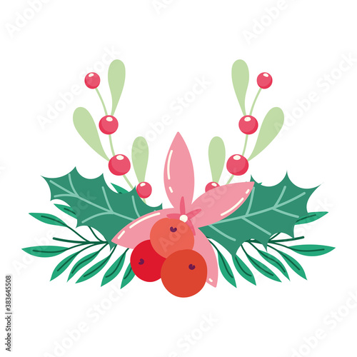 merry christmas, poinsettia flower leaves holly berry season decoration, isolated design