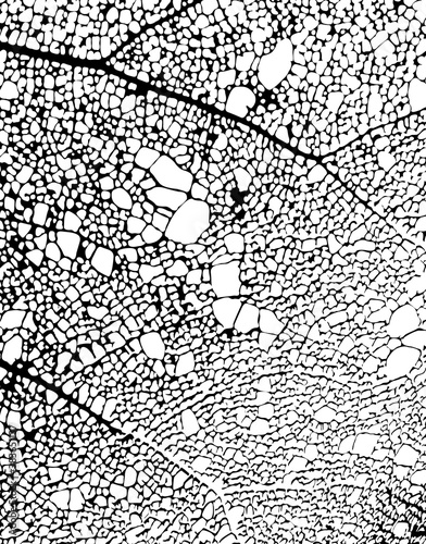 抽象絵画的パターン