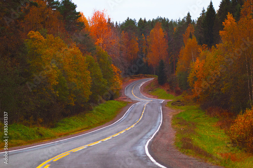 Road lane, autumn landscape on the road. Serpentine track.
