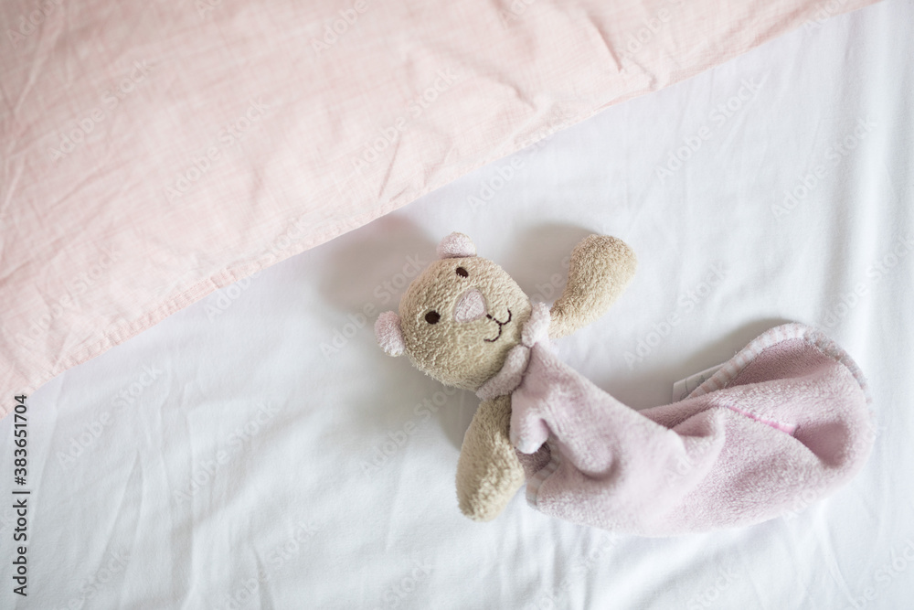 Obraz premium teddy in a bed