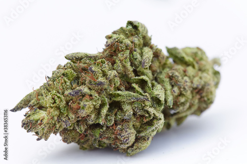 фотографія Close up of medical and recreational white runts indica sativa strain indoor gro