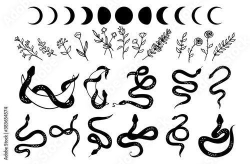 Mystic set of snakes silhouette, moon phases and wildflowers. Delicate greenery, rustic herbs, fern, foliage and plants in line style. Boho modern hand drawn design elements for logo and branding.