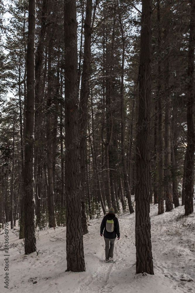 Rear view of a young woman walking in a snow covered forest during winter season in Esquel, Patagonia, Argentina