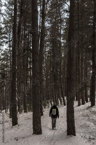 Rear view of a young woman walking in a snow covered forest during winter season in Esquel, Patagonia, Argentina