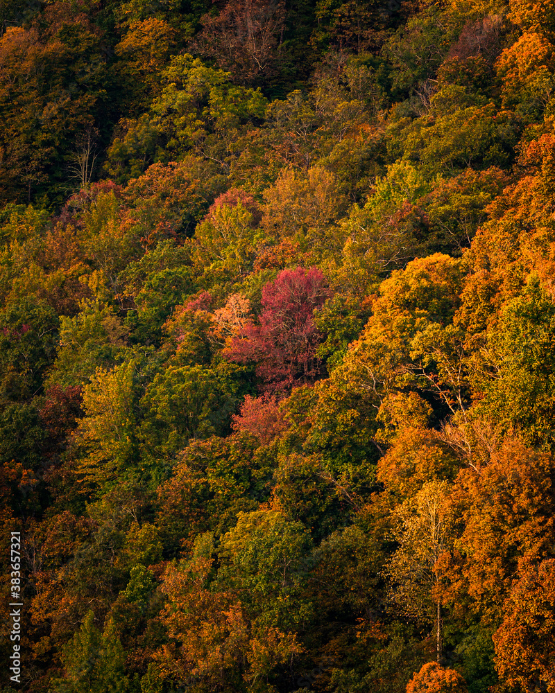 Sunrise Over Fall Colors in Arkansas