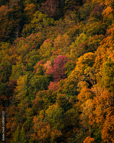 Sunrise Over Fall Colors in Arkansas © Kevin