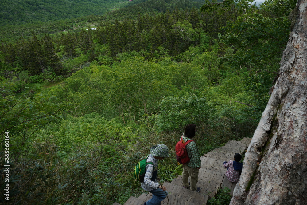 Naklejka premium 栂池自然園 歩く子供たち 家族旅行 夏休み 高原 ハイキング 長野