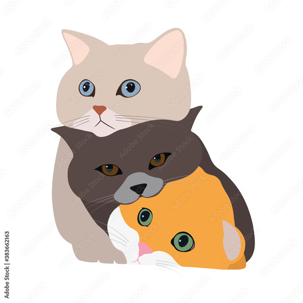 Fototapeta premium 3 cute and lovely cats